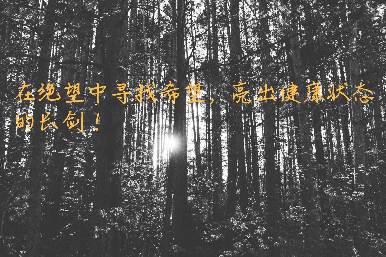 默認標題_自定義cm_2018.08.15 (4).jpg